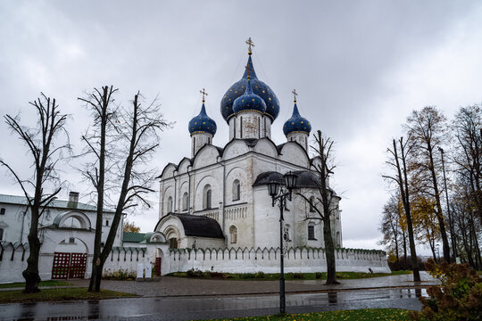 view of the Kremlin Museum complex and the Cathedral of the Nativity of the Blessed Virgin Mary