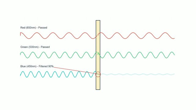 Exploring the Science Behind Blue Light Filters and Their Proven Effectiveness