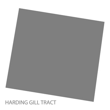 Harding Gill Tract City Map, Texas, USA