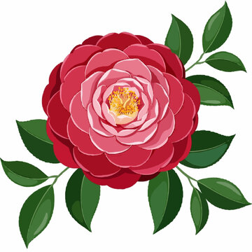 Red camellia flower vector with lush green leaves on white background