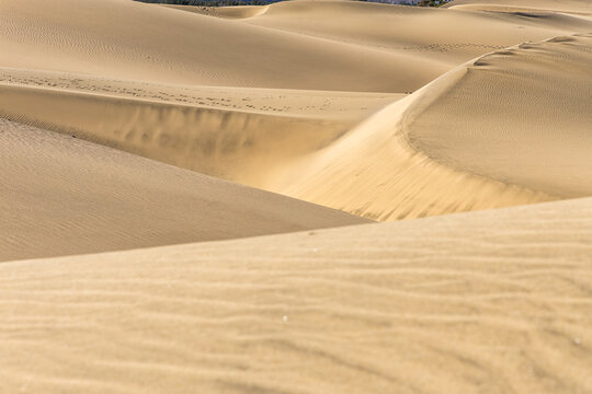 Dunas de Maspalomas sand dunes desert on Gran Canaria island in Spain