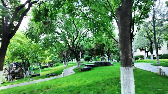 Tree lined pathway in a peaceful Jinan park