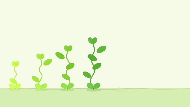 左から順に芽生えて伸びる新芽の10秒ループアニメーション