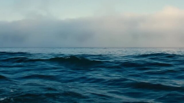 Calm ocean waves with soft fog rolling across the horizon during a tranquil seascape in natural light