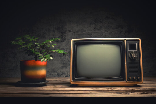 Retro yellow old television with a blank screen near a potted plant in a dark room. Close-up, front view, still life