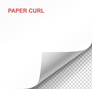 Curled page corner isolated on transparent background. Blank curve paper edge, bent sheet, note angle with realistic shadow. Vector rolled up stickers, peel banners single curved corner lifted,