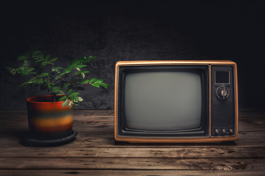 Front view, retro yellow old television (still life) with a blank screen on wood table near a potted plant in a dark room.
