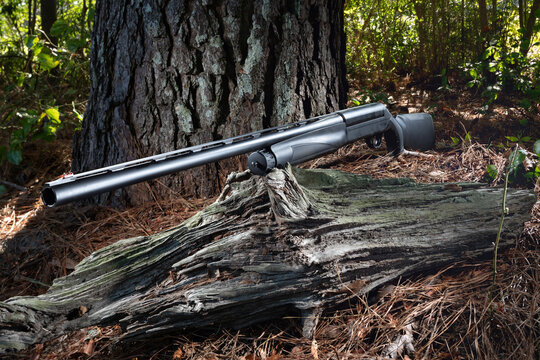 Light coming through the forest behind a shotgun