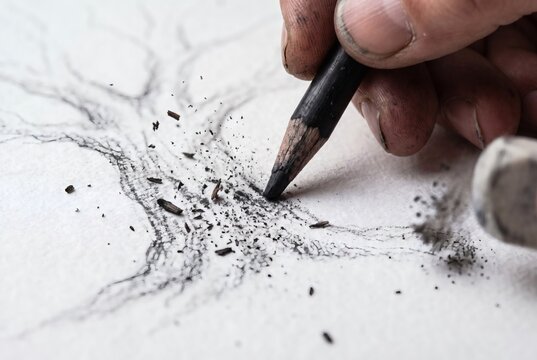 Artist hand drawing with black charcoal pencil on white paper with scattered charcoal dust, sketching and fine art creative process concept