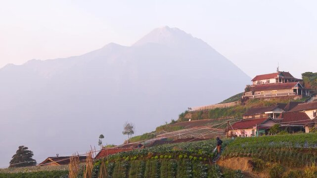 Aerial view of Mount Merapi and terraced fields in Indonesia.