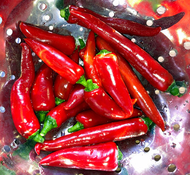 Medium heat chillies in a colander, Chard, Somerset, UK.