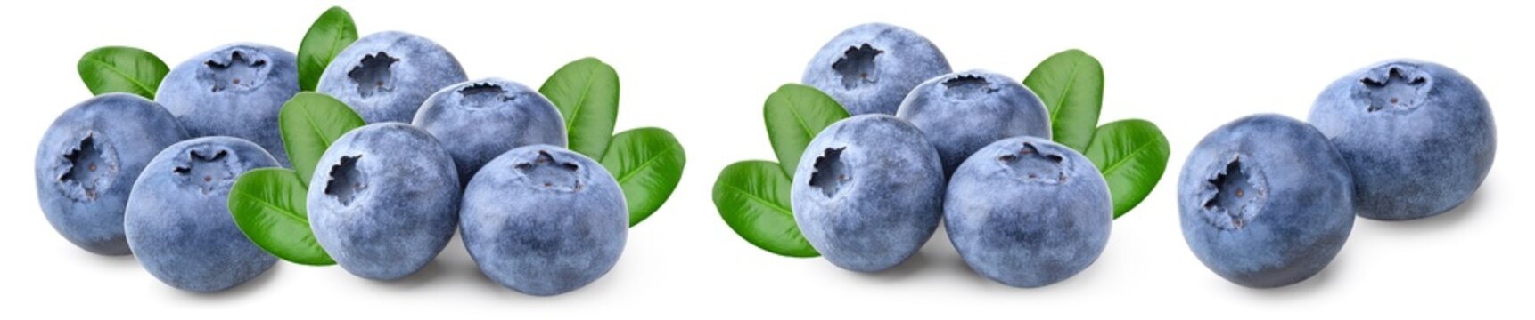blueberries with green leaf isolated on white background. macro. clipping path