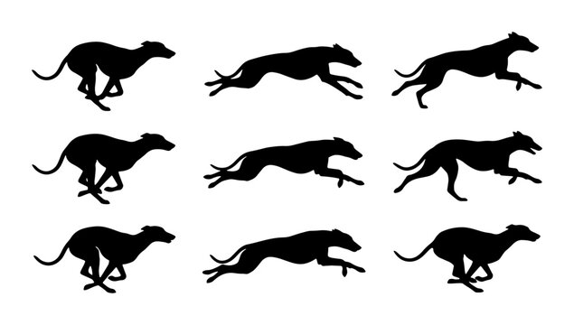 Black greyhound silhouettes in motion, set of running dogs, graphic