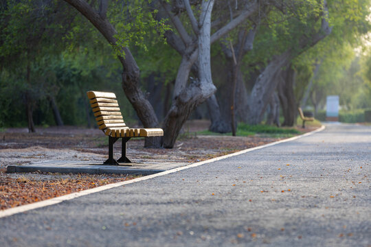 Empty Park Bench Along a Curving Path in Abu Dhabi