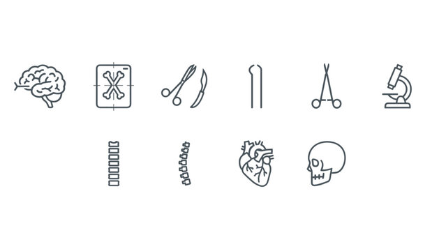 Outline vector icons representing anatomy and surgery equipment including brain xray heart skull and microscope.