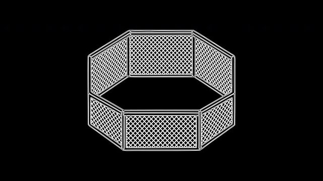 Octagonal cage animation for mixed martial arts