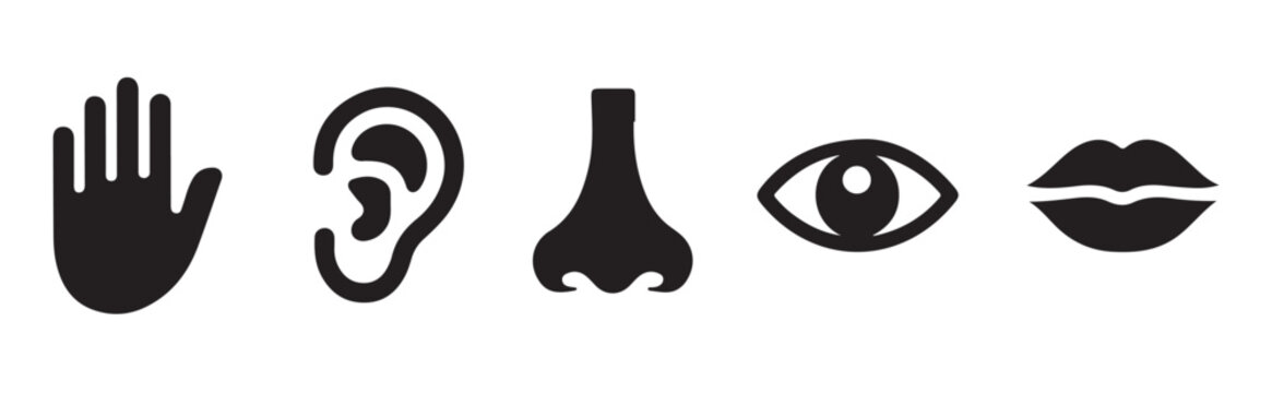 Five senses icons set including hand touch ear smell nose eye vision and lips taste senses perception.