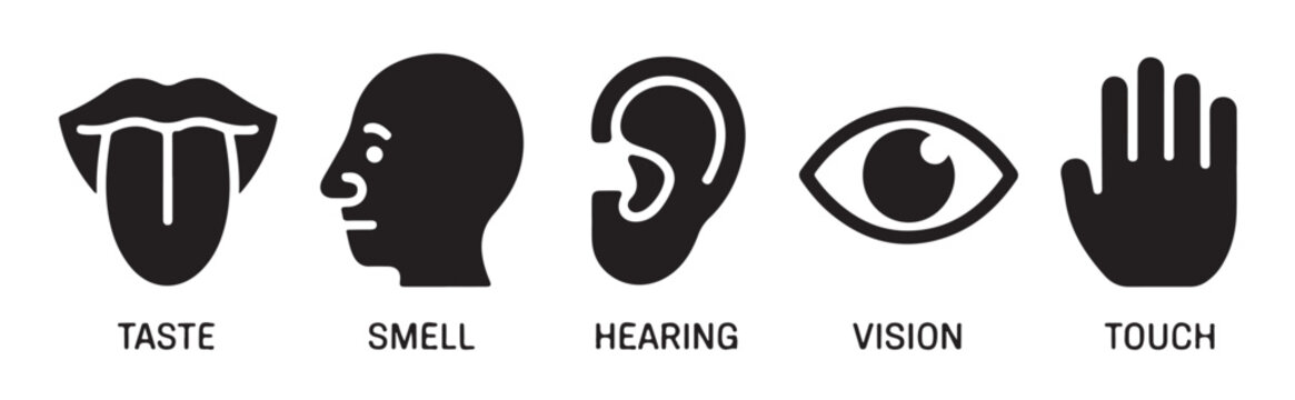 Five human senses icons represented with simple black silhouette designs for taste smell hearing vision touch.
