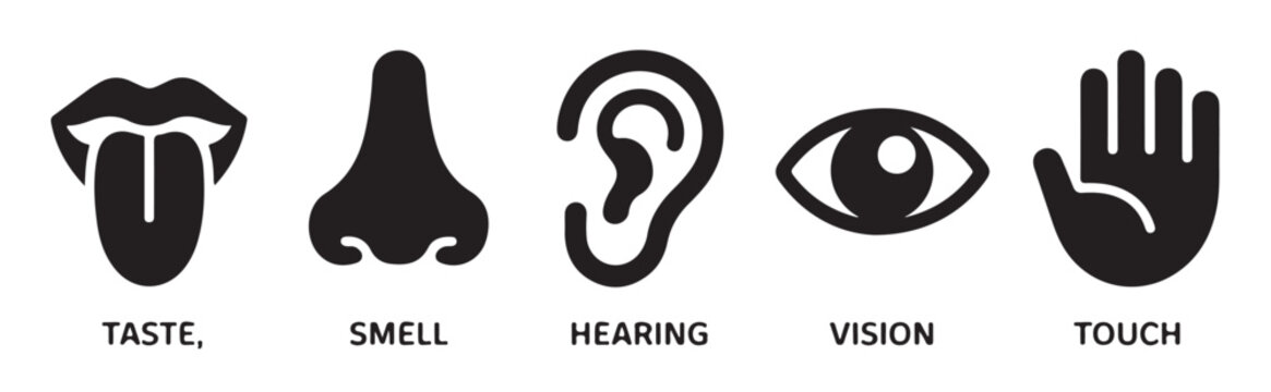 Five human senses icons for taste smell hearing vision and touch with black silhouette style.