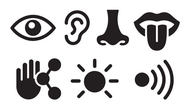 Sensory system black solid icon collection representing human perception elements on transparent background.