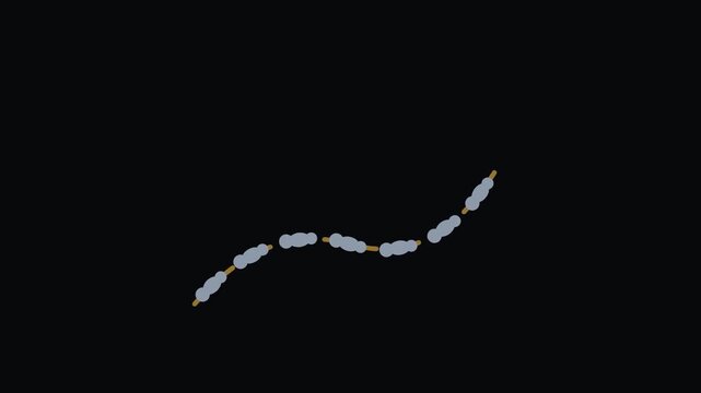 Ant trail - Nature, Weather and Earth Science Natural Phenomena and Ecosystem Motion
