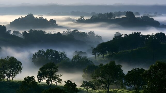 Misty morning landscape with rolling hills  dense fog  and scattered trees under soft dawn light