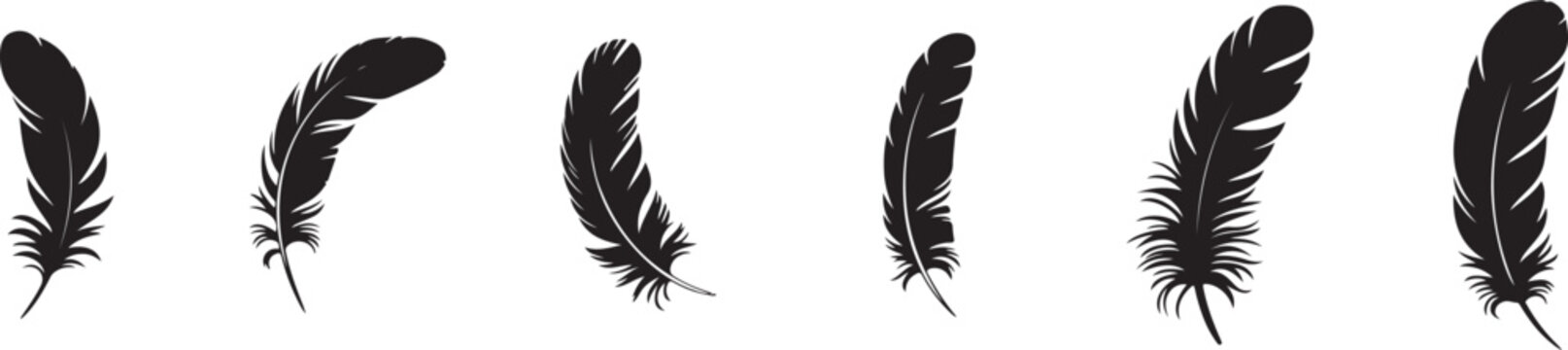 Set of six isolated black feather silhouettes in different shapes for graphic design projects