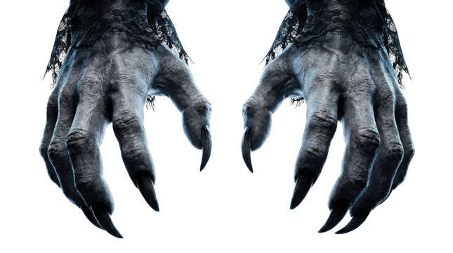 Closeup of terrifying monster hands with sharp claws and black lace cuffs isolated on transparent background