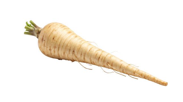 Fresh organic parsnip root on white background. Raw whole parsnip vegetable with green stems. Healthy root vegetable for cooking.