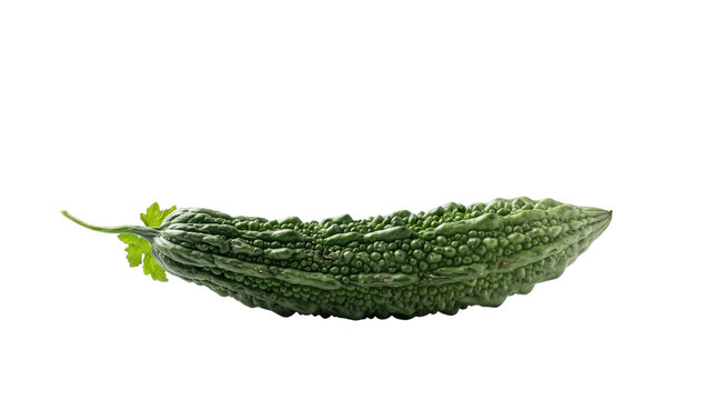 Fresh bitter melon on white background. Whole green bitter gourd with bumpy texture. Raw organic balsam pear for healthy cooking.