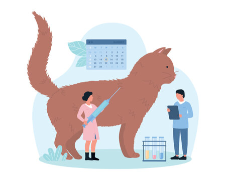 Vaccination of pet in veterinary clinic vector illustration. Cartoon tiny veterinarians with vaccine syringe and calendar care of cat health, doctor characters immunize kitten in vet hospital