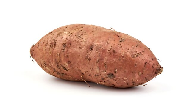 Raw Sweet Potato Vegetable Isolated on White