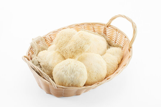 Lion's mane mushrooms in basket, healthy superfood fungus