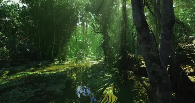 misty swamp trail under soft morning light, shallow water and mossy roots leading through dense canopy scene evokes field research and early biodiversity