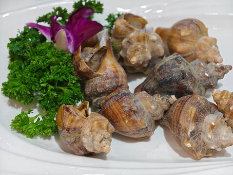 Close-up shot of cooked sea snails on a white plate, garnished with parsley and an edible orchid.