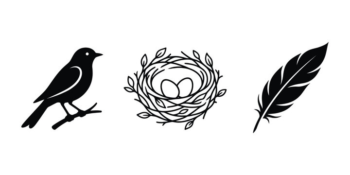 Wild bird nature vector icon set featuring songbird perched on branch, cozy twig nest with eggs, and soft feather symbols.