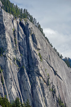 Sheer Granite Mountain Cliff Face with Evergreen Trees