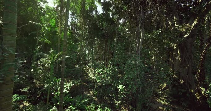 bright forest edge with mixed light. Open transition zone features scattered trees, low undergrowth, and sunlit patches ideal for ecotourism, biodiversity