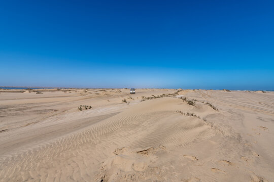 Skeleton Coast Desert Adventure