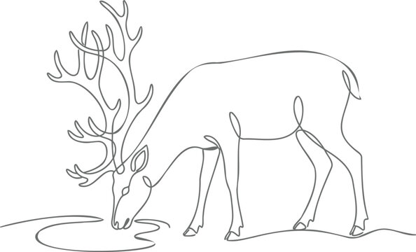 Single continuous line of a reindeer with large antlers drinking water from a pond, isolated on a white background
