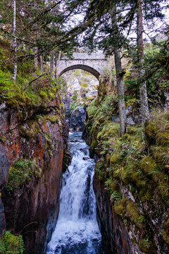 Pont d'Espagne Bridge in Cauterets, pine forest with mountain river, Pyrenees , France