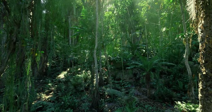Dappled light on lush fern slope with layered greenery, thin vines, textured soil and intermittent sunspots creating dynamic contrast and immersive forest mood