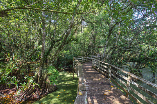 Corkscrew Swamp Sanctuary