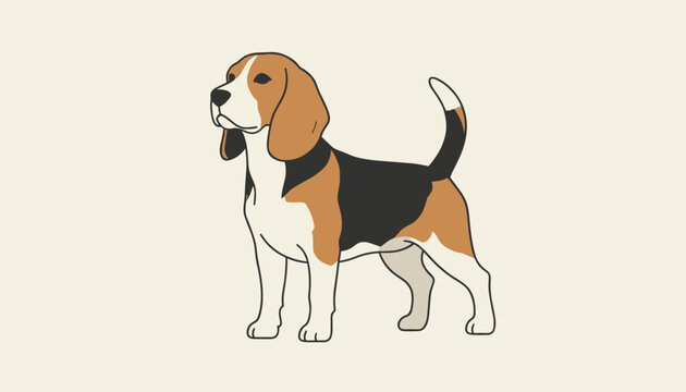 Hand drawn illustration of a cute beagle dog standing sideways with a happy alert expression on beige backdrop.