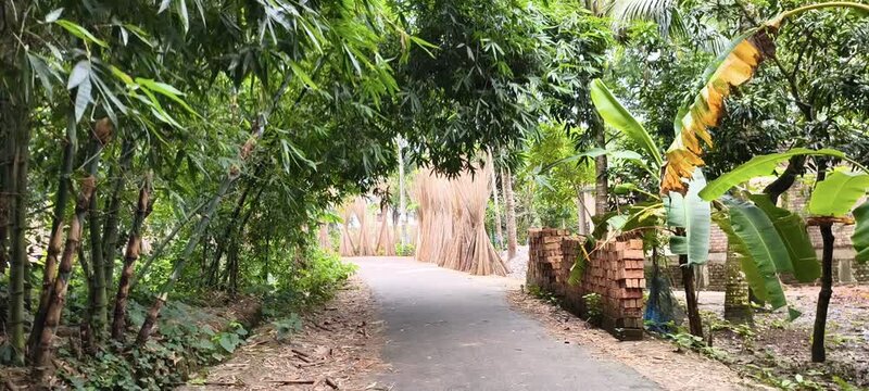 Traffic sign on rural road in Bangladesh surrounded by lush green bamboo groves and tropical vegetation with jute fiber drying in background