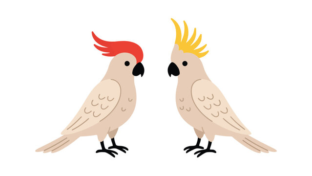 Cute cartoon cockatoo birds set with yellow and red crest parrots vector illustration isolated on white background