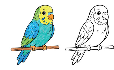 Obraz premium Hand-Drawn Budgerigar Parakeet Bird on a Perch Illustration Isolated on White