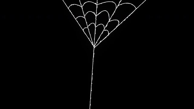 Hand Drawn White Spider Web Hanging Against Pitch Black Background Spooky Halloween Graphic