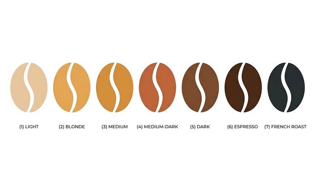 Coffee bean roast level color chart showing seven different shades from light to dark brown