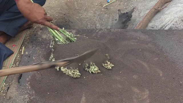Sorghum panicles heated with hot gravel to lightly roast the grain before separating it from stems
